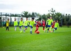 雪梨与林珊,珊社交平台,账号被关闭,金年会官网,金年会平台,金年会体育,金年会APP