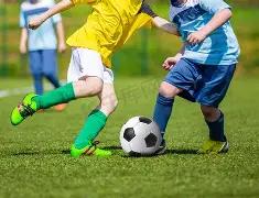 联赛冈山绿,雉对京都不,死鸟,金年会官网,金年会平台,金年会体育,金年会APP