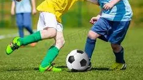 J联赛冈山绿雉对京都不死鸟，期号专家质合推荐分析